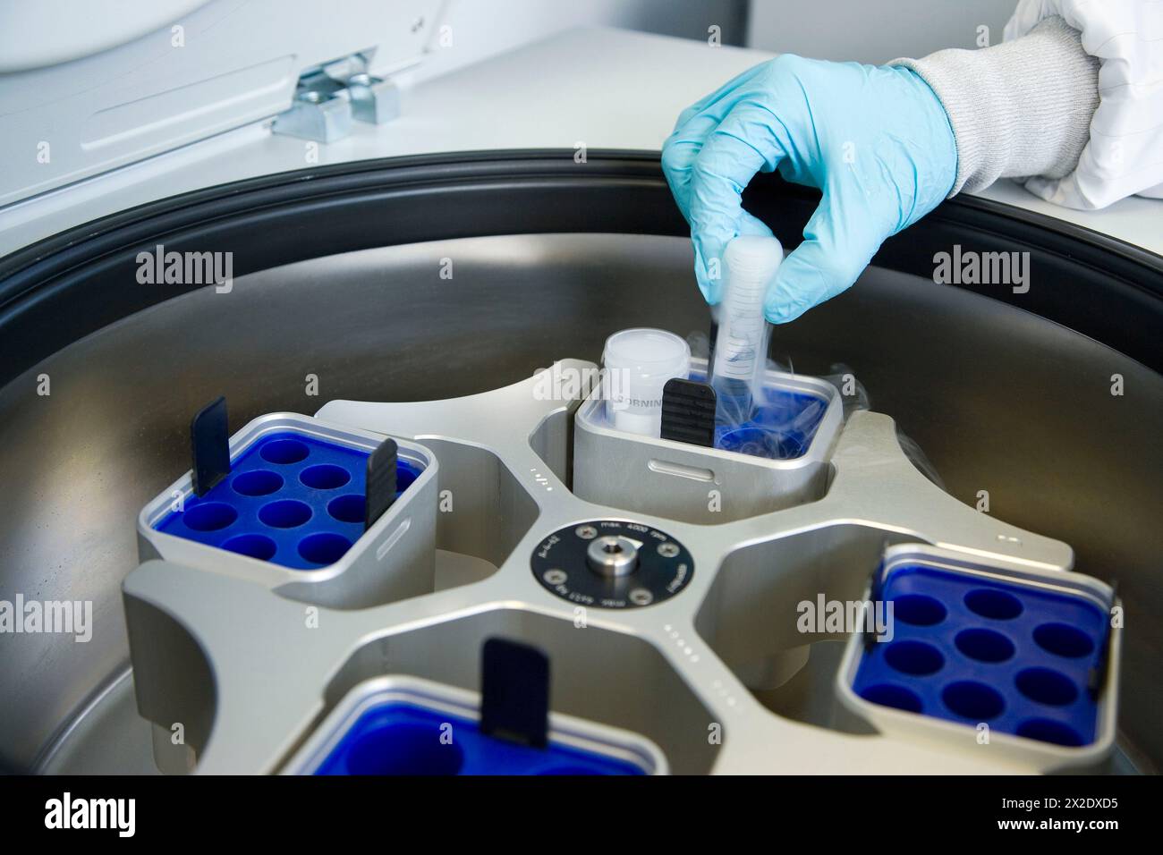 Centrifuge, culture room, biopharmaceutical lab, development of new ...