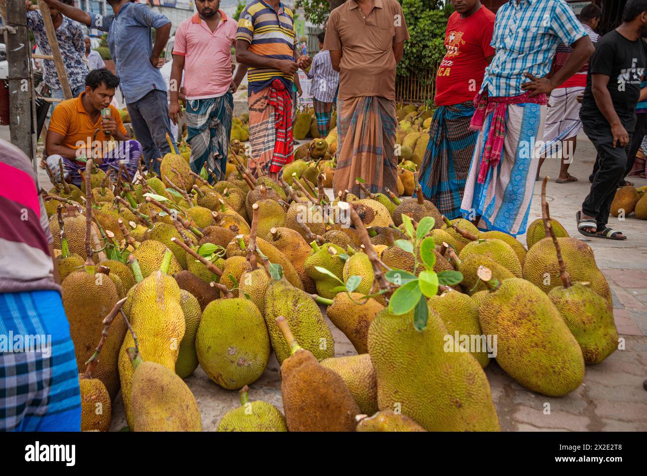 Many whole green jackfruit on street. Stock Photo