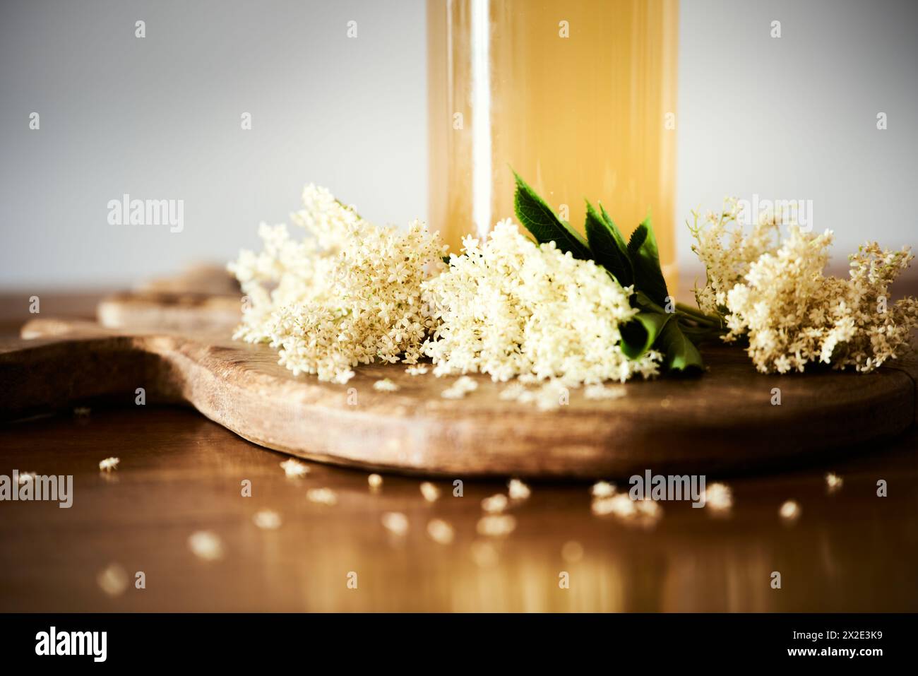 Bottle detail of homemade fresh elderflower cordial juice with small white elderflowers. Spring sweet drink, refreshing nonalcoholic elderberry flower Stock Photo