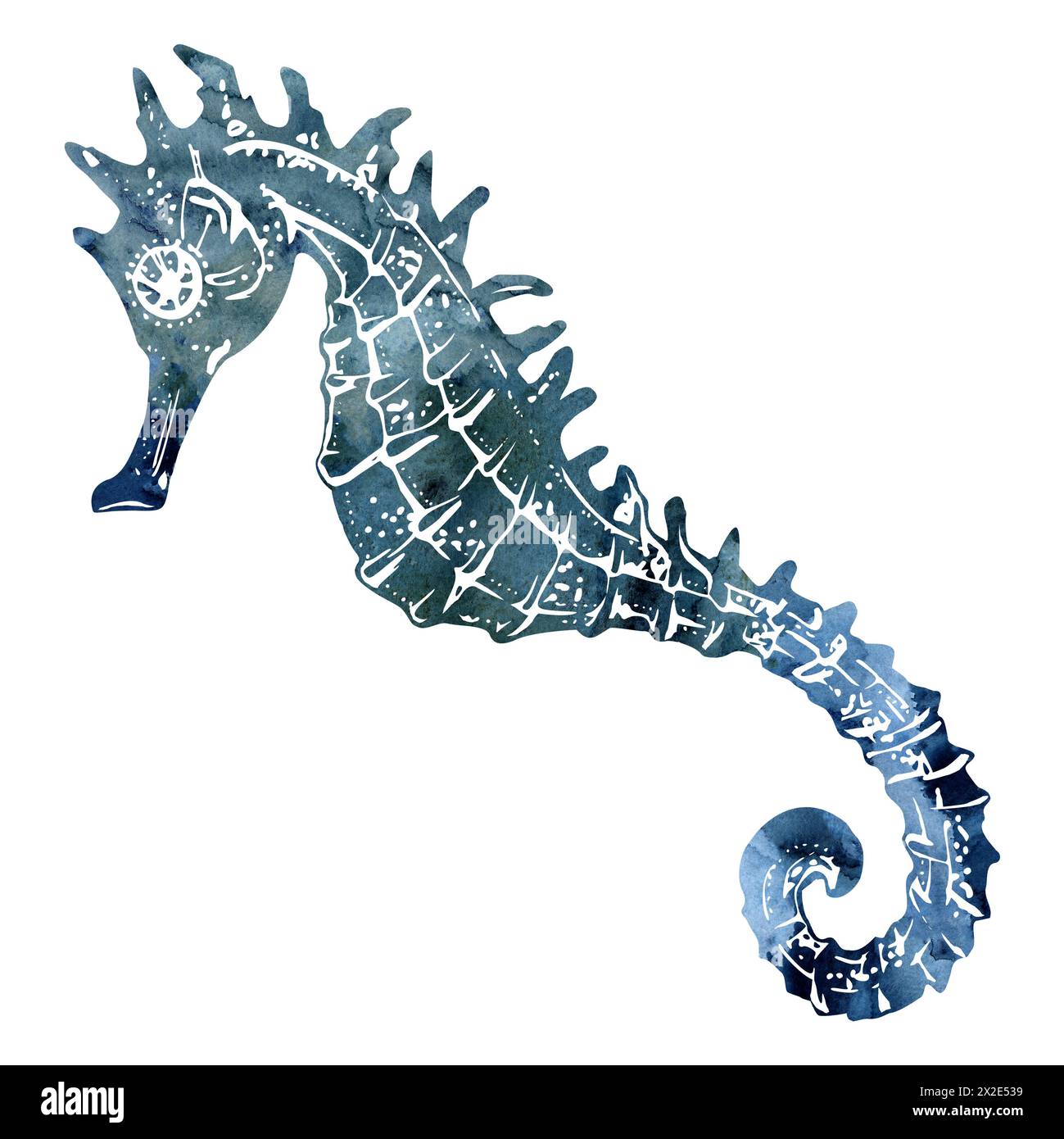 Watercolor and ink hand drawn marine life, sea ocean underwater creatures. fish, shells algae seaweed. Single object illustration, stylized, isolated Stock Photo