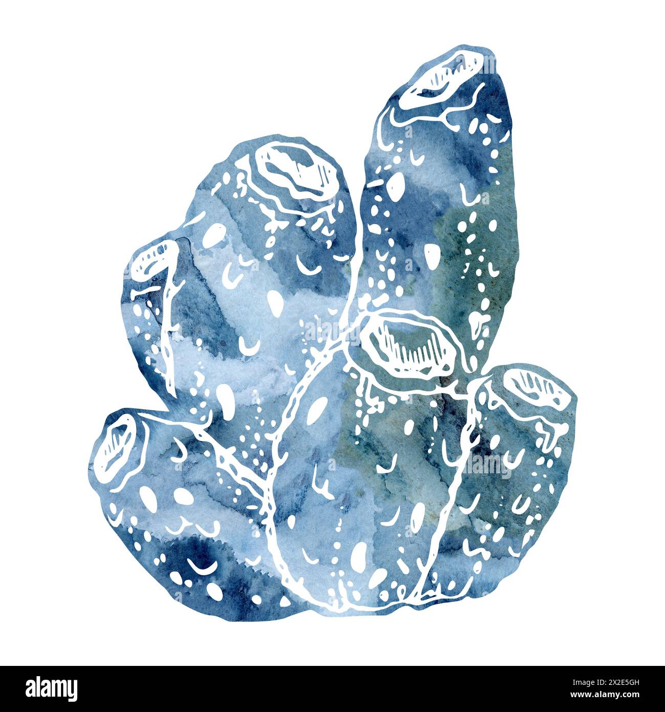 Watercolor and ink hand drawn marine life, sea ocean underwater creatures. fish, shells algae seaweed. Single object illustration, stylized, isolated Stock Photo