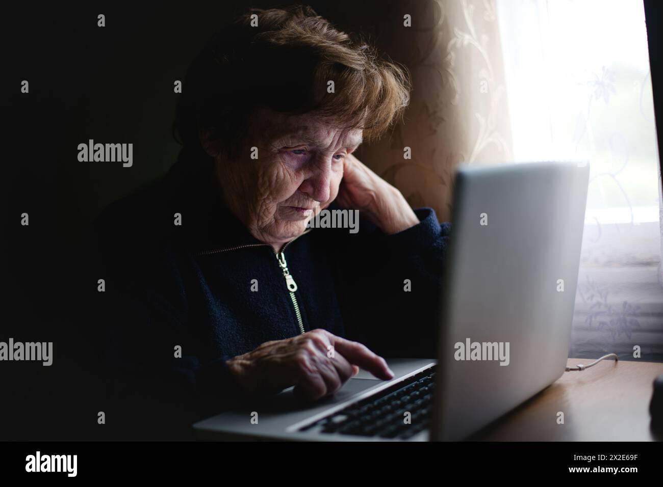 In a cozy scene, an older lady comfortably uses her laptop, seamlessly blending modern tech into her routine. Stock Photo