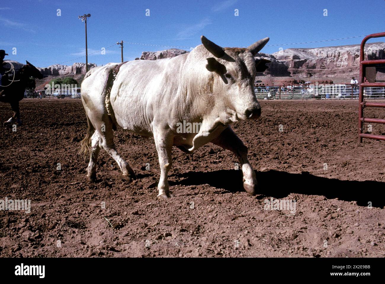 Navajo rodeo hi-res stock photography and images - Alamy