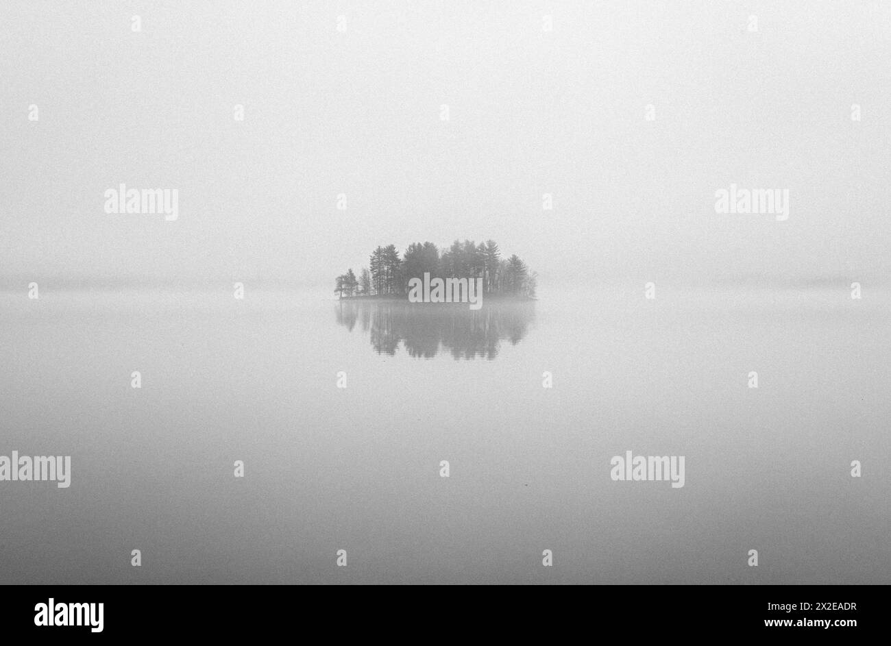 black and white image of lonely island in fog in middle of lake Stock Photo