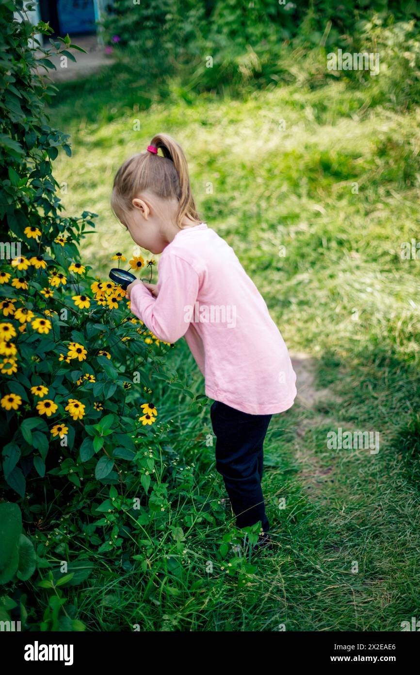 A child examines a flower under a magnifying glass Stock Photo