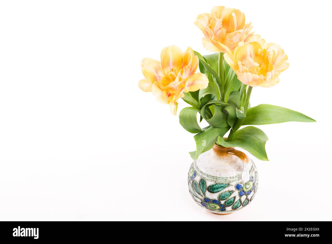Double soft yellow tulips in a vase on a white background. Spring tulips bouquet isolated. Stock Photo