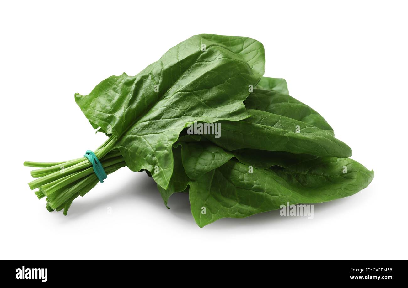 Bunch of fresh spinach leaves isolated on white Stock Photo