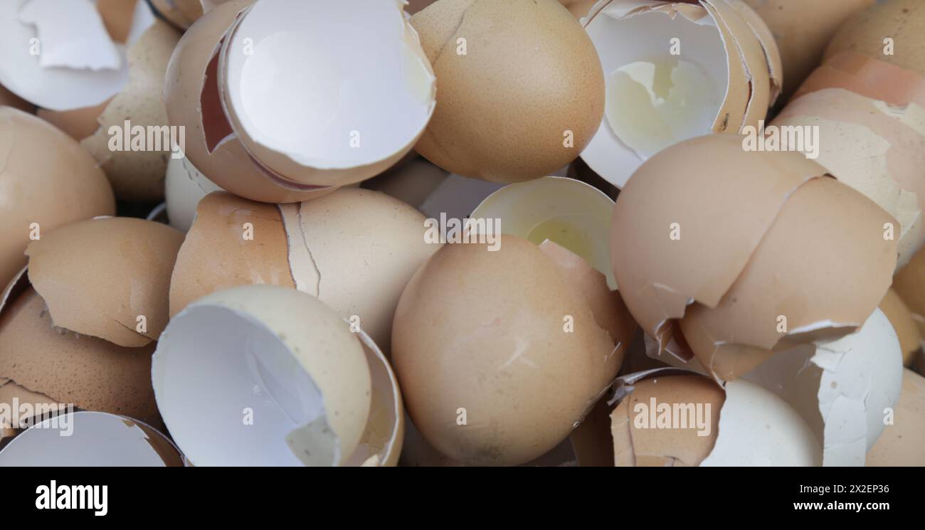 Stack of broken and dry eggshells Stock Photo