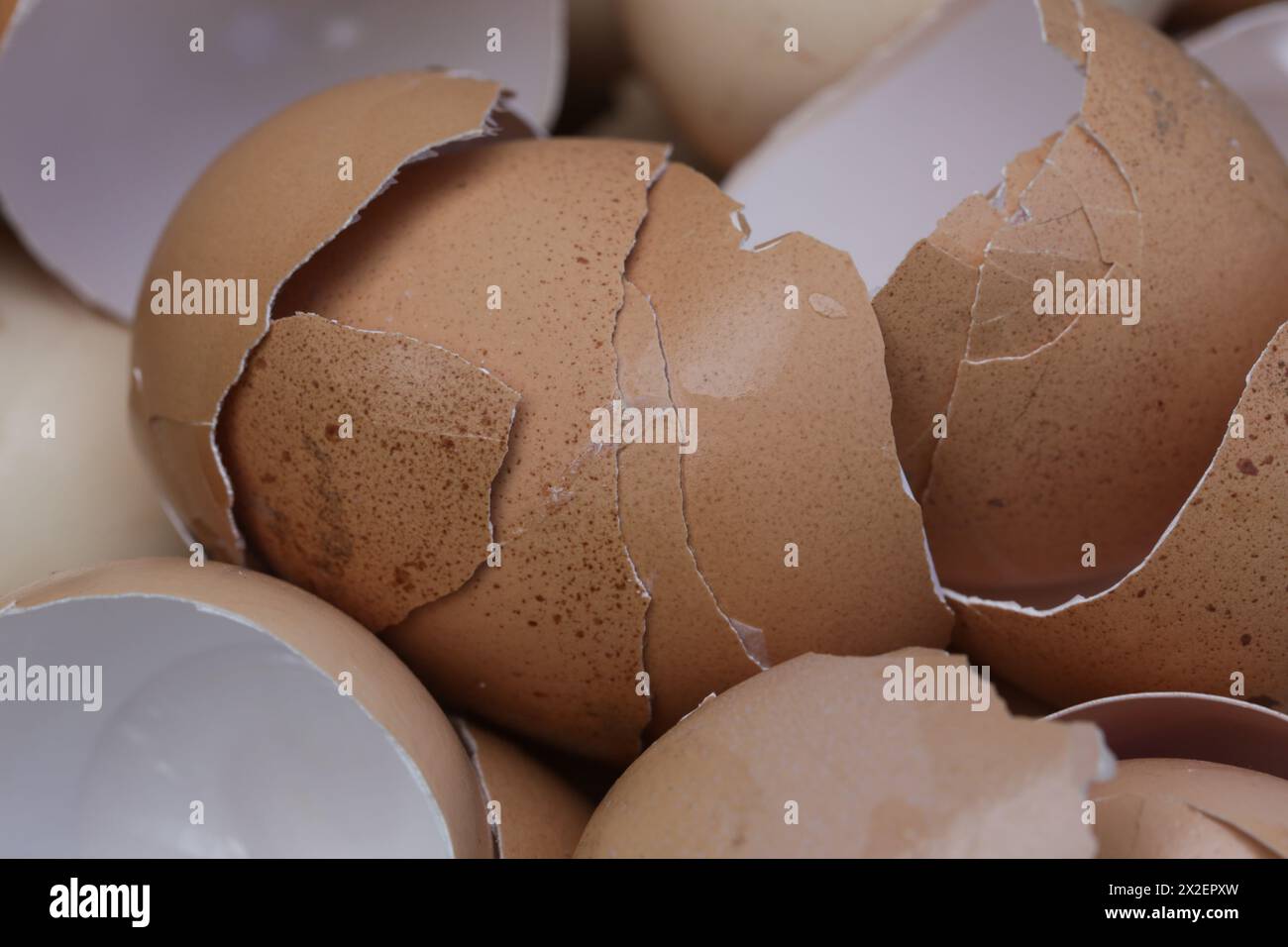 Stack of broken and dry eggshells Stock Photo