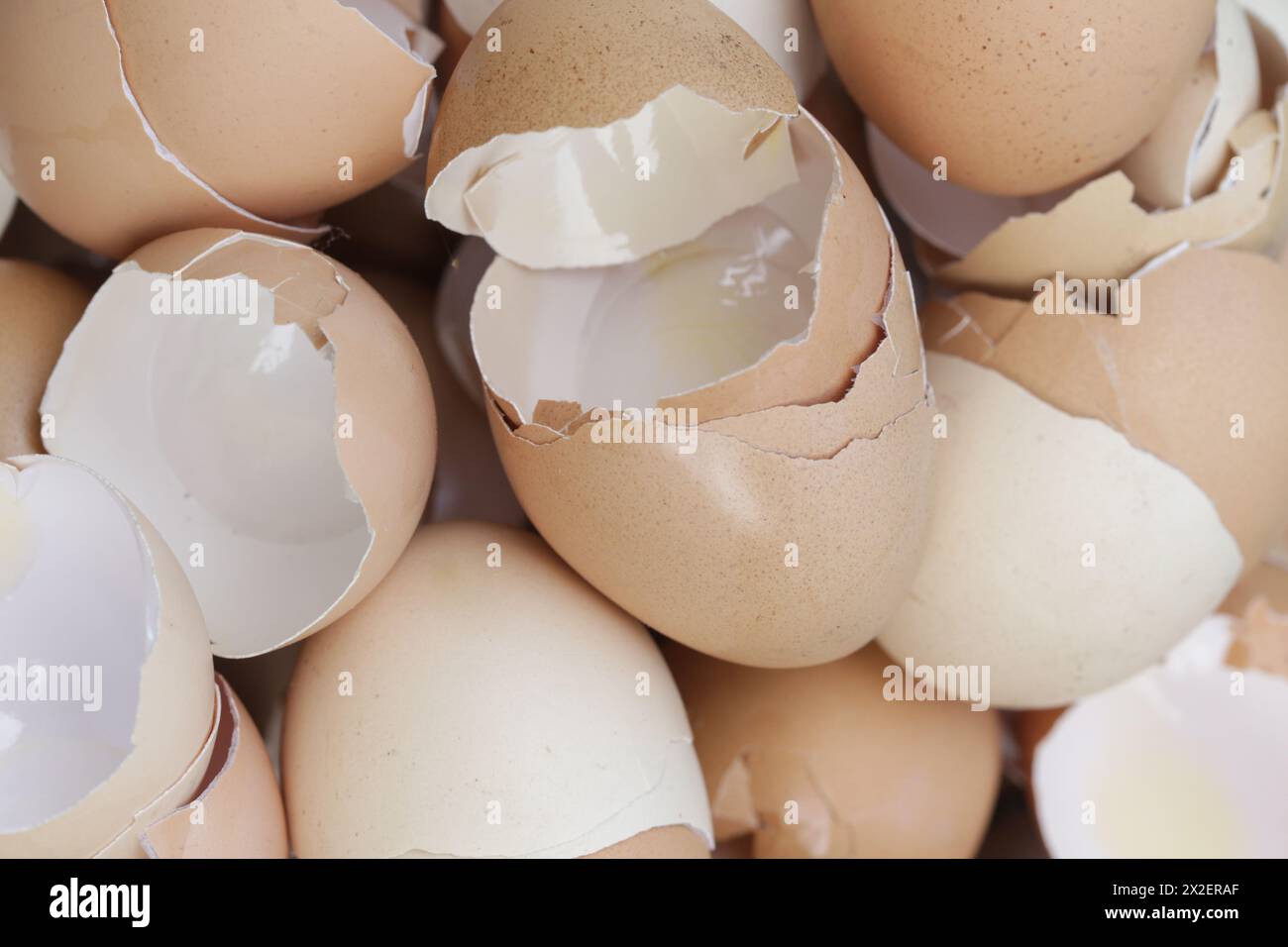 Stack of broken and dry eggshells Stock Photo