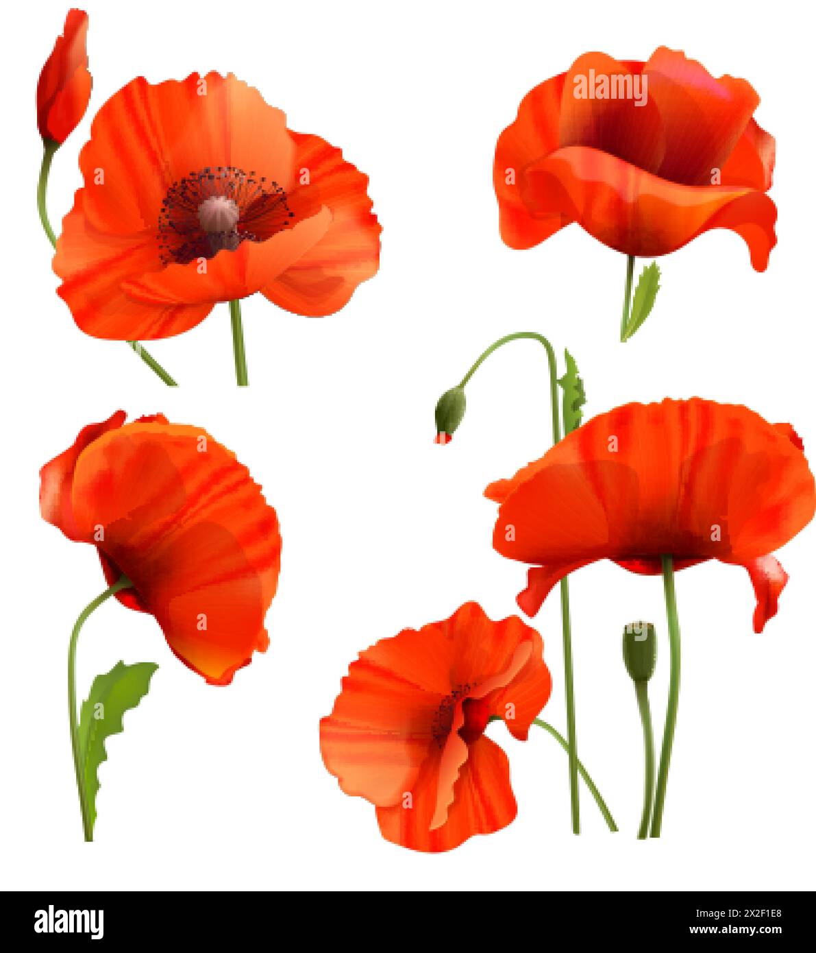 3d poppies hi-res stock photography and images - Alamy