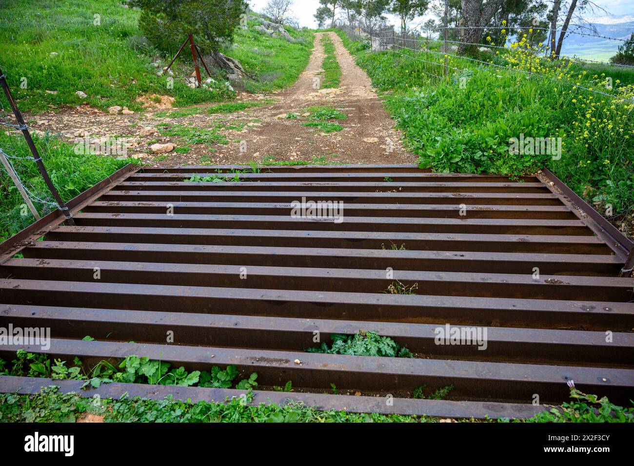 Cattle grid on a rural path Photographed at Givat Hamore, Jezreel Valley, Israel Stock Photo