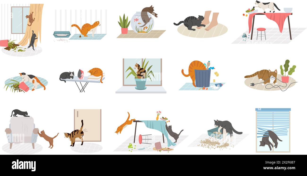 Domestic cats. Pets bad behavior in home interior destroying rooms recent vector cartoon illustrations Stock Vector