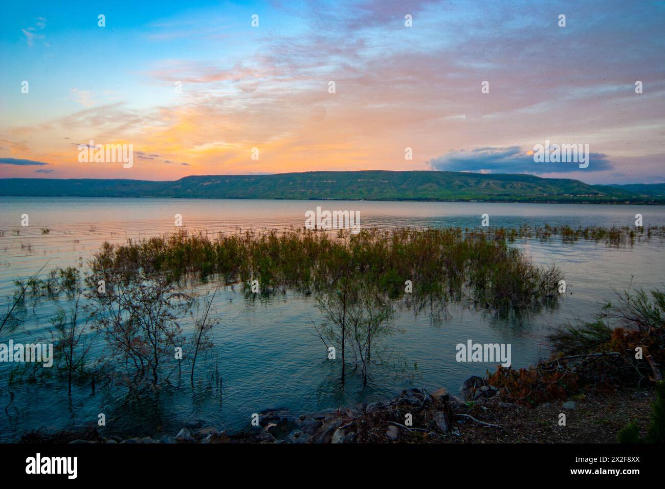 At water's edge on the shore of the Sea of Galilee, [Lake Kineret or Lake Tiberias] Israel at sunset Stock Photo