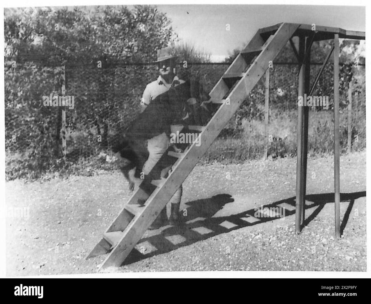 south-african-dog-unit-hi-res-stock-photography-and-images-alamy