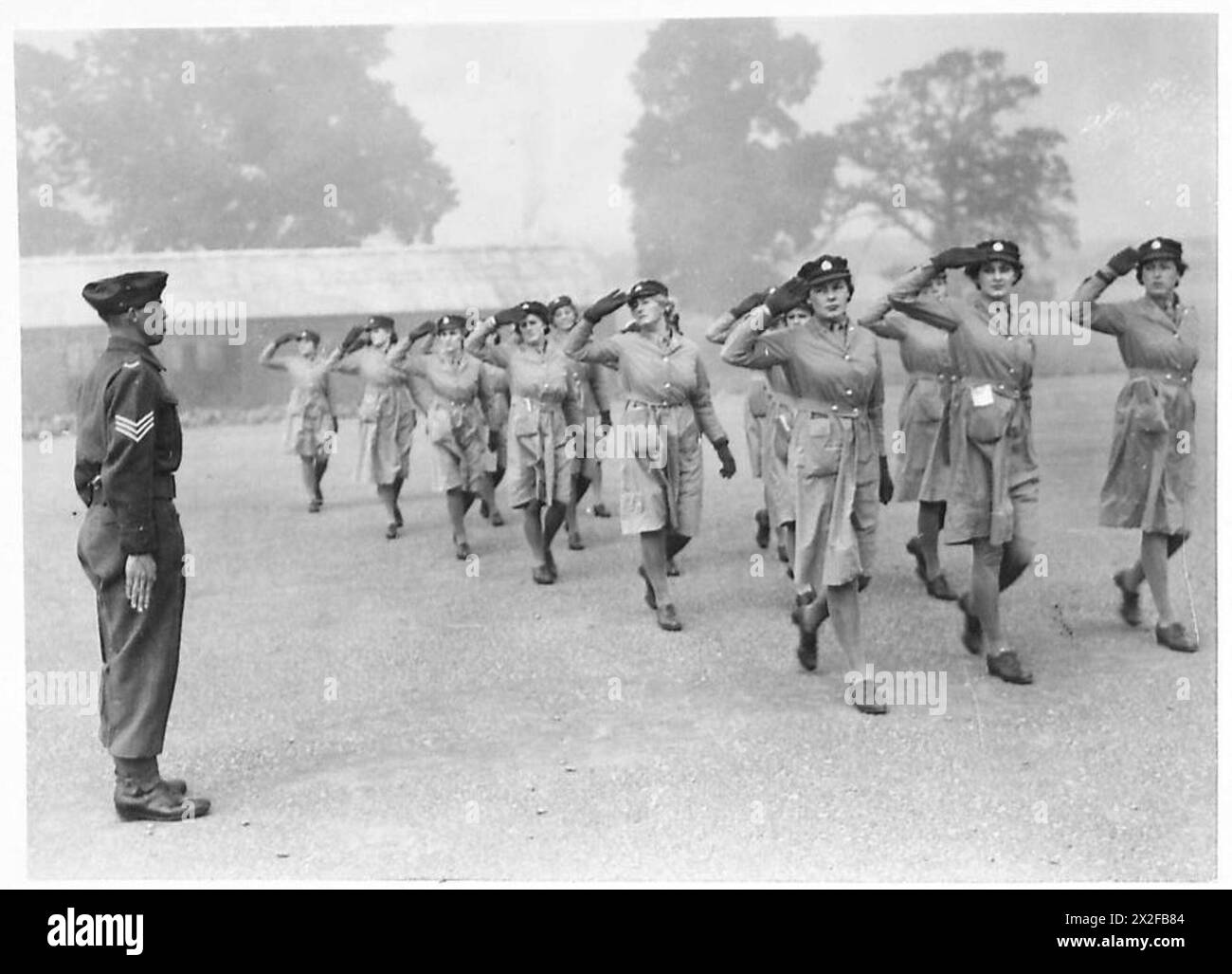 Proper attention Black and White Stock Photos & Images - Alamy