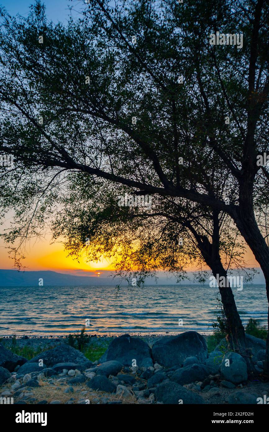 At water's edge on the shore of the Sea of Galilee, [Lake Kineret or Lake Tiberias] Israel at sunset Stock Photo