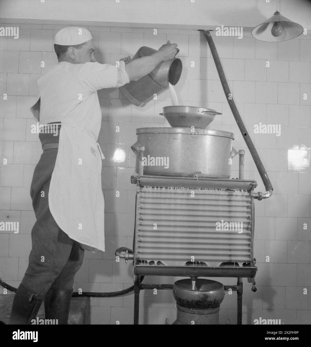 MILK PRODUCTION: DAIRY FARMING IN WARTIME, NORFOLK, ENGLAND, UK, 1944 - In the dairy, a dairyman empties a small churn of milk into the cooling system. The original caption states that the dairy is kept separate from the cowshed and is kept 'scrupulously clean'. Milk is cooled in the dairy and stored there in churns until it is ready to be transported to the towns Stock Photo