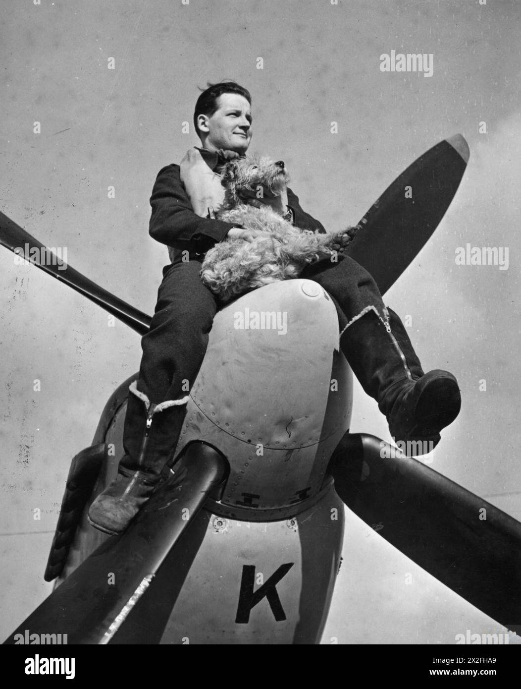 THE POLISH AIR FORCE IN BRITAIN, 1940-1947 - Pilot Officer Stefan Tronczyński of No. 306 Polish Fighter Squadron seated on his Spitfire Mk IX (UZ-K, BS403) with Popsky, the Squadron's dog mascot, at RAF Northolt, 2 March 1943. An original, medium size, black and white print with description printed on the back Polish Air Force, Polish Air Force, 306 'City of Toruń' Fighter Squadron, Tronczyński, Stefan Władysław Stock Photo