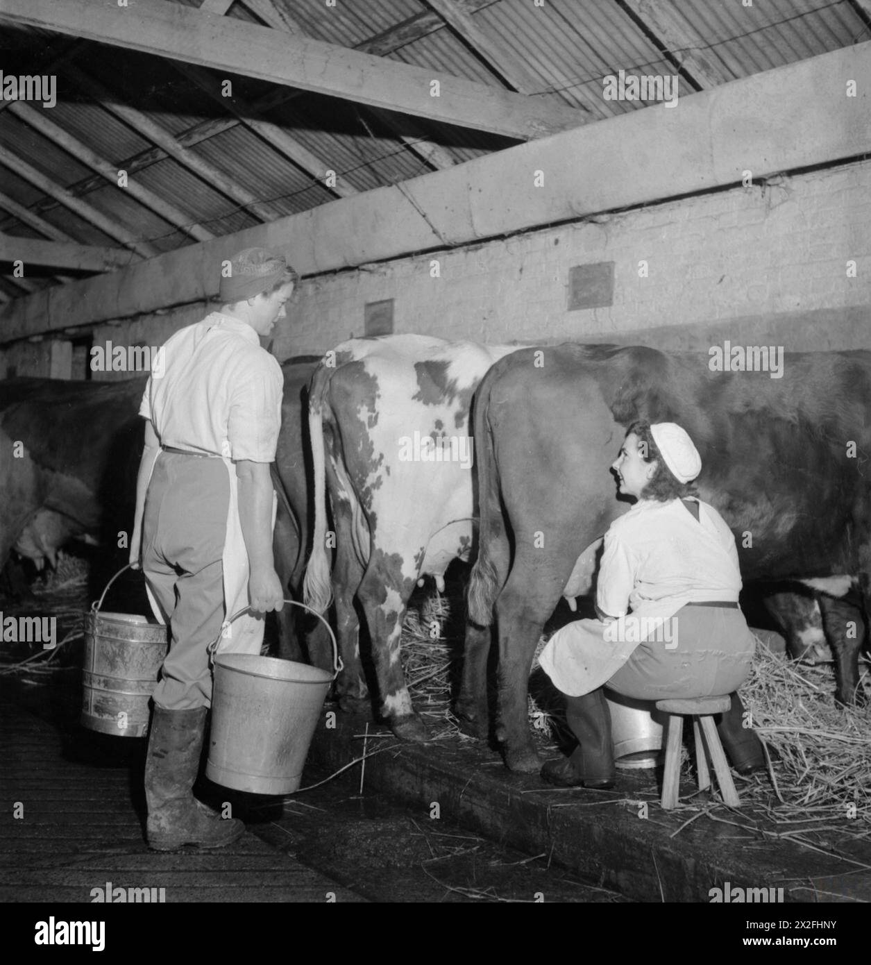 LANDGIRL'S DAY: EVERYDAY LIFE AND AGRICULTURE IN WEST SUSSEX, ENGLAND ...