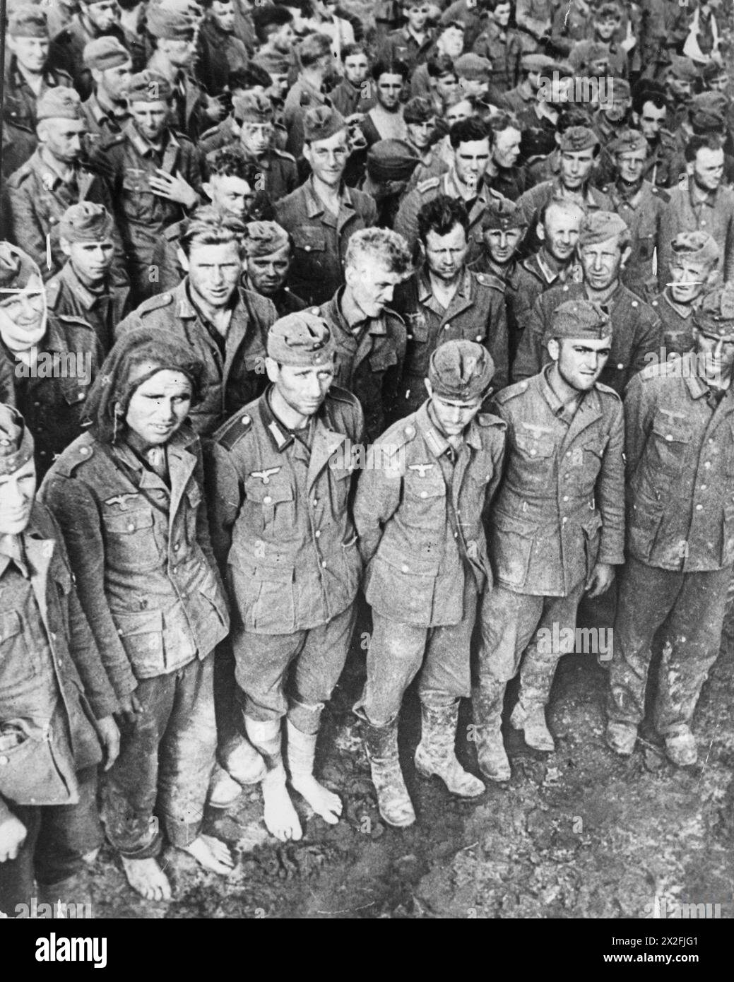 THE GERMAN ARMY ON THE EASTERN FRONT, 1941-1945 - Disconsolate German prisoners captured by the Soviets in late 1943. Note two soldiers in the front rank without boots which meant they faced almost inevitable death German Army Stock Photo