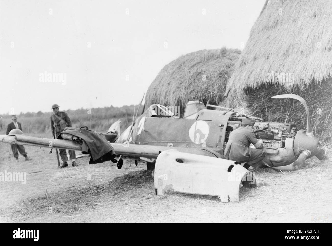 A Messerschmitt Bf 109E-1 fighter of 4./JG 52, flown by Feldwebel Paul ...
