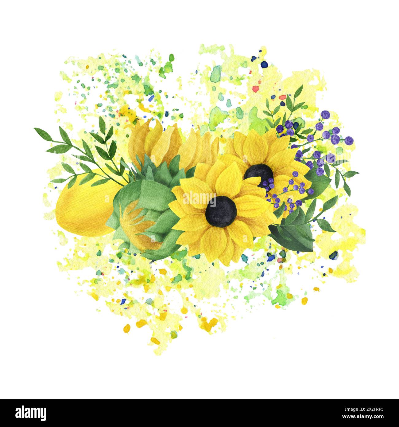 Watercolor Bouquet Of Sunflowers With Leaves And Lemon A Sketch Drawn