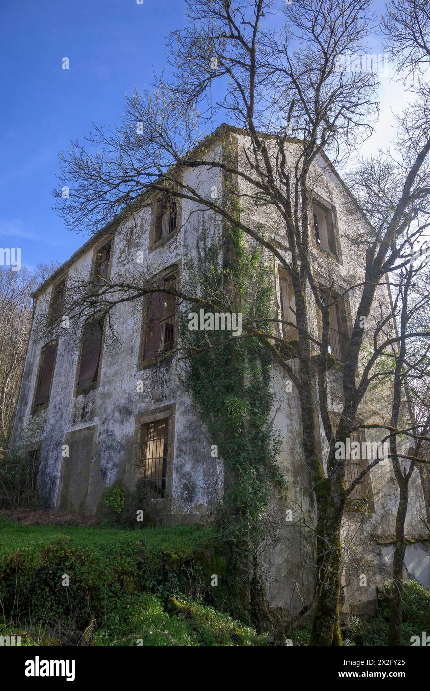 Abandoned and half destroyed house in the middle of the forest vertically Stock Photo