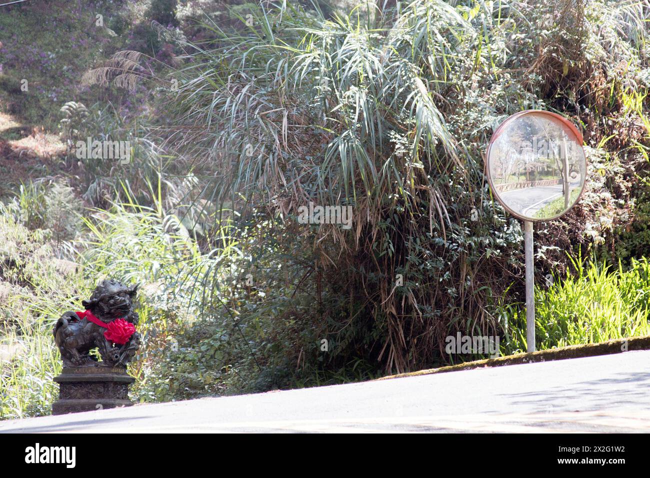 Road at Taiwan's Alishan National Forest Recreation Area with a lion sculpture decorated by a red ribbon and next to a mirror for the vehicules Stock Photo