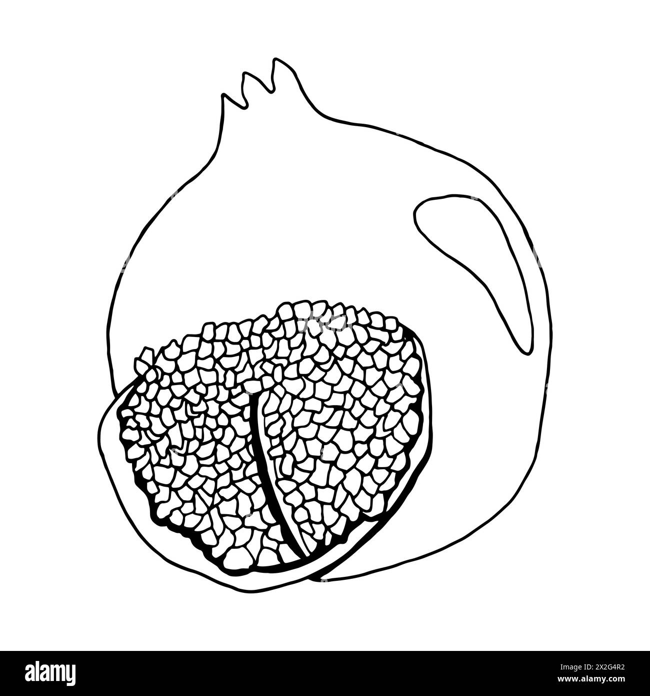 Illustration of a pomegranate fruit drawn with a black pen. In a flat style. The contour is a single line. For icon; web; logo; Vector. Stock Photo