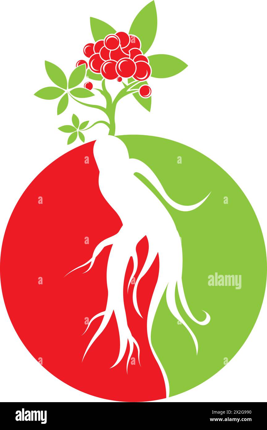 Ginseng icon Vector Illustration design Logo template Stock Vector