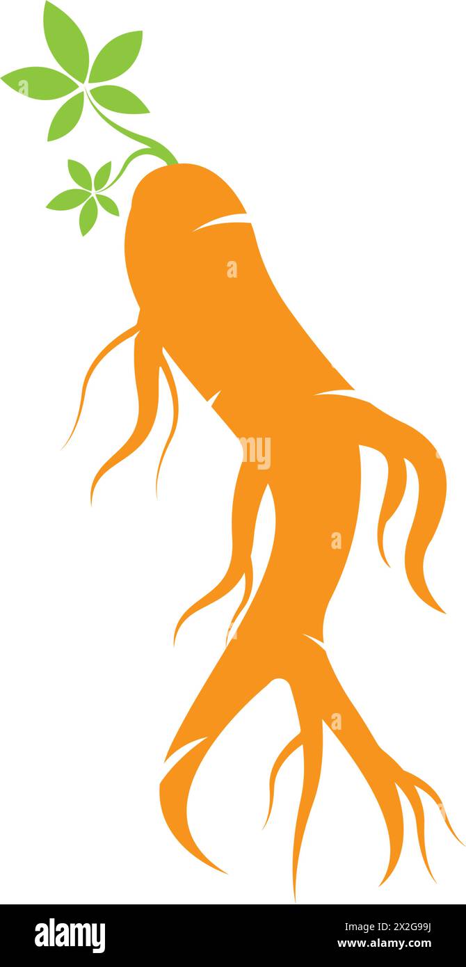Ginseng icon Vector Illustration design Logo template Stock Vector