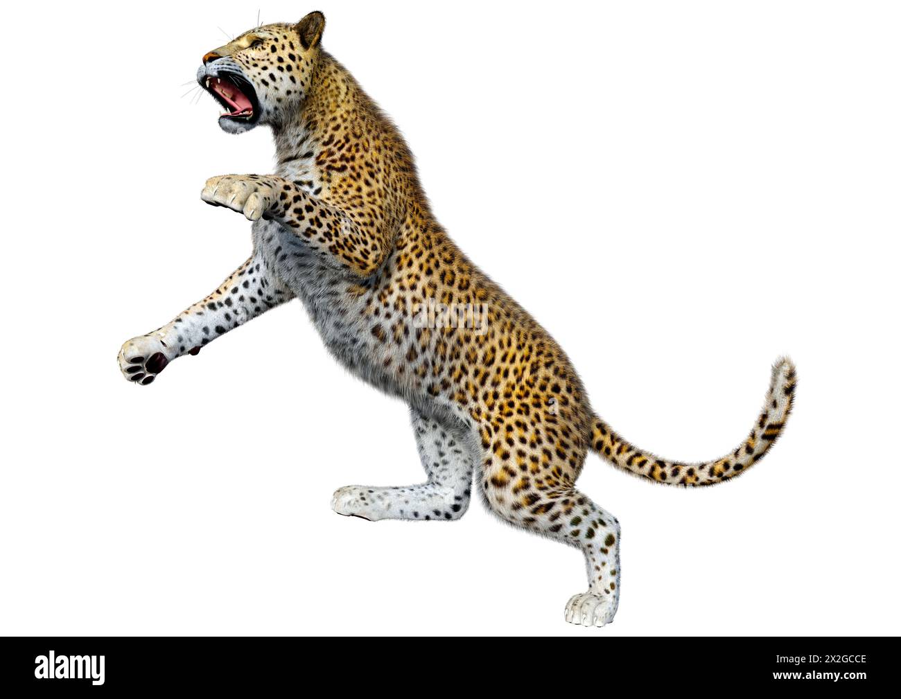 3D rendering of a big cat leopard isolated on white background Stock ...