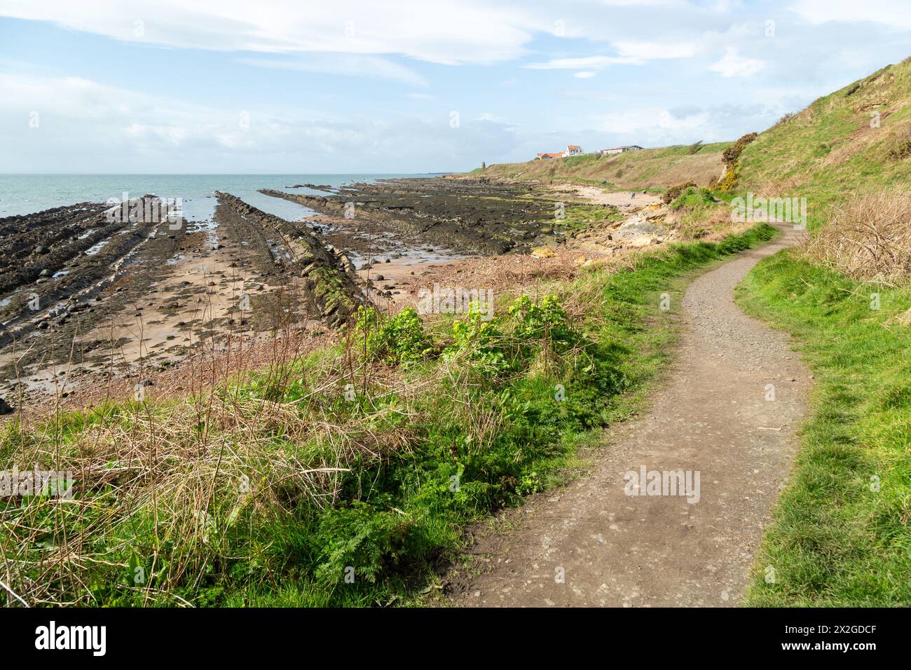 The Fife Coastal Path between St Monans and Pittenweem Stock Photo Alamy
