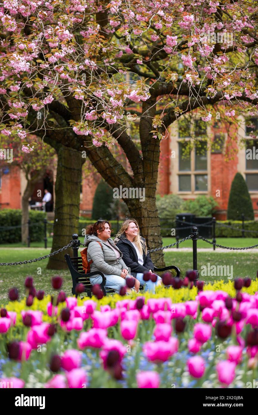 Denise Fuenzalida (left) and Amanda Foster sit by a cherry blossom tree at Queen's University Belfast during spring weather. Picture date: Monday April 22, 2024. Stock Photo