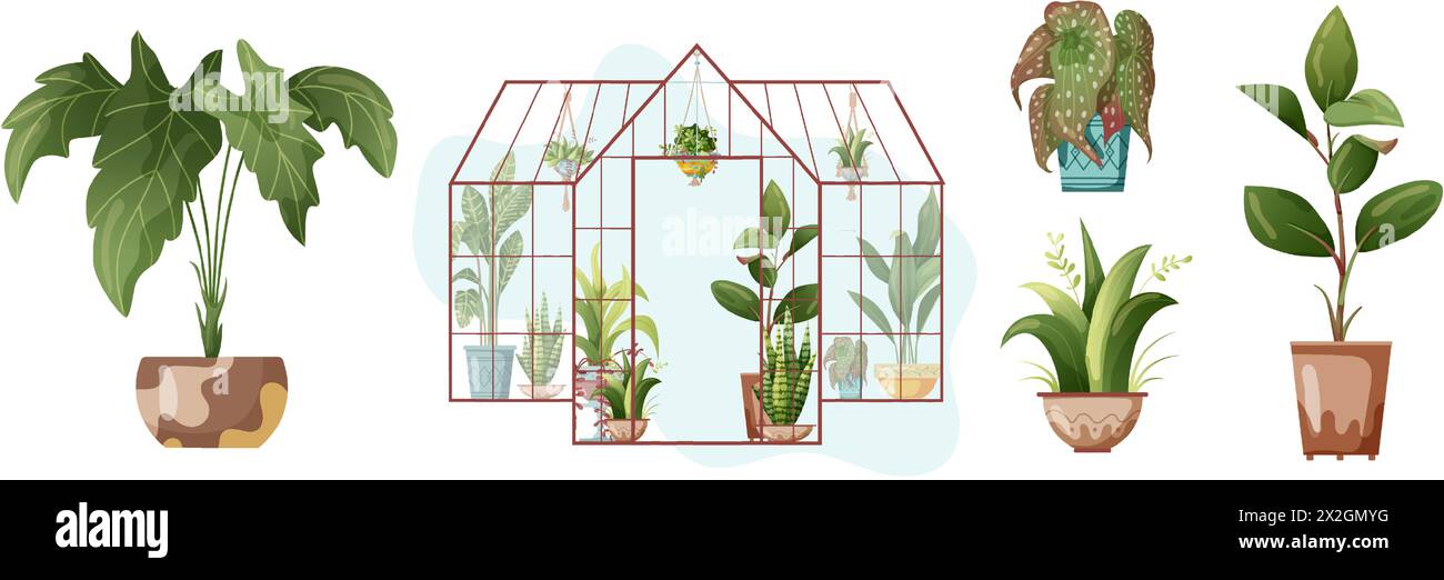 Houseplant and macrame plant growing in pots. Greenhouse, flower rack ...