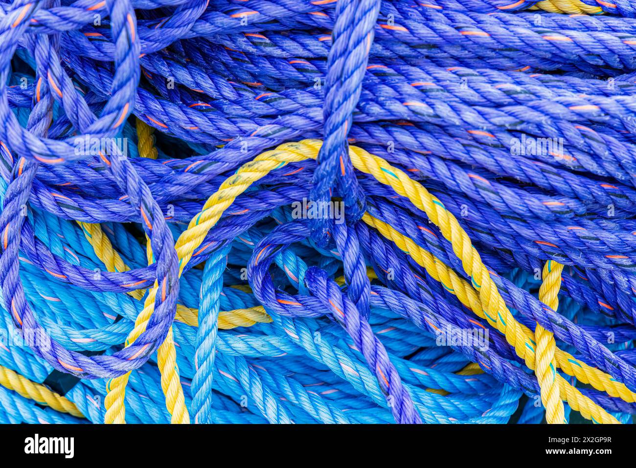 60895-03510 Colored Rope on dock at Fisherman's Cove Eastern Passage, NS Canada Stock Photo