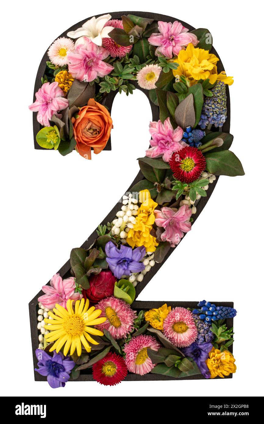 Number 2 leaves hi-res stock photography and images - Alamy