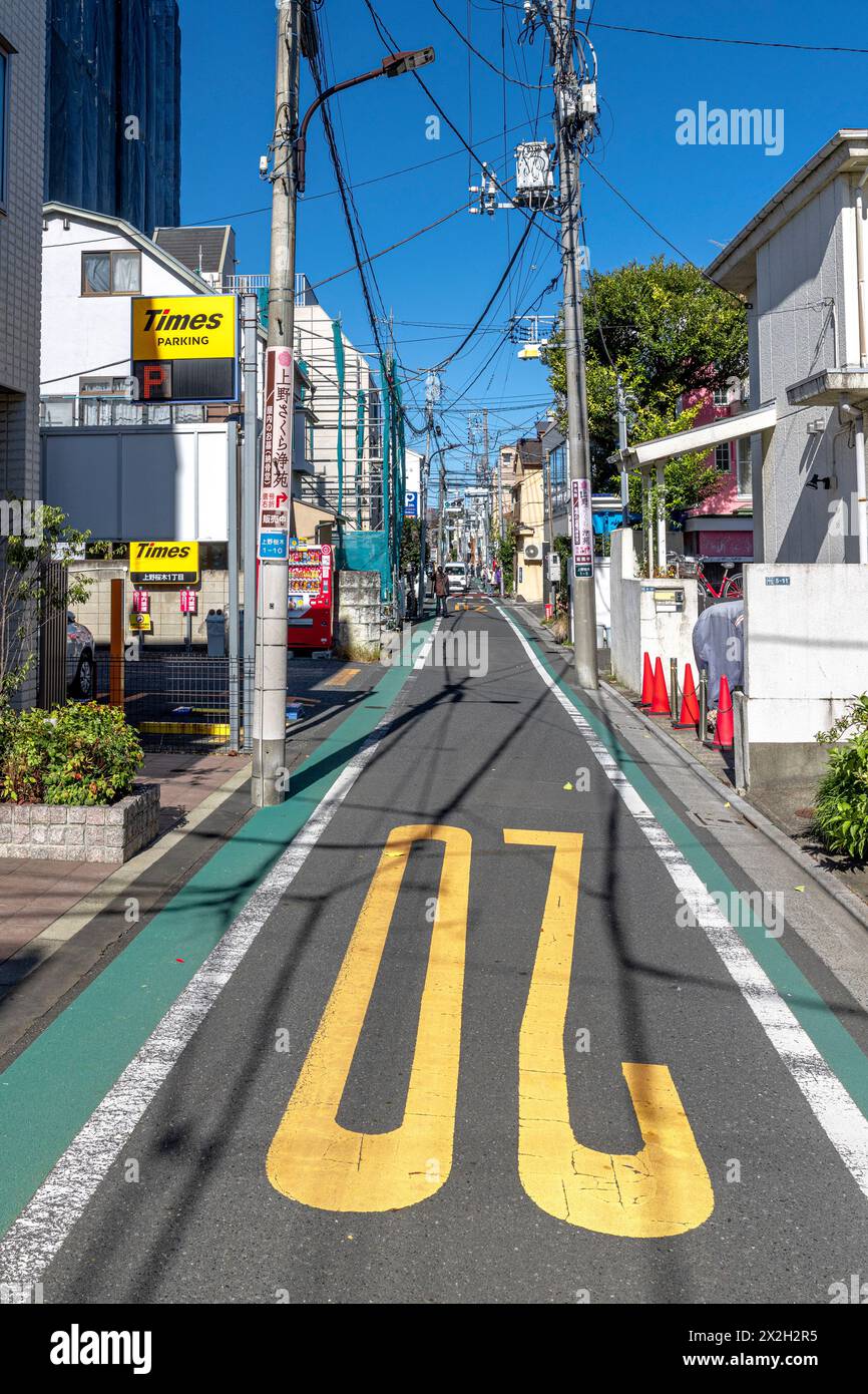 TOKYO/JAPAN - November 20, 2023: detail of a characteristic street in the Ueno district Stock Photo