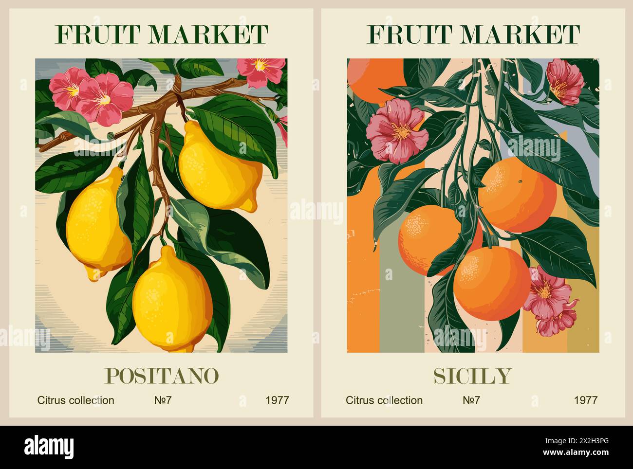 Set of Abstract Fruit Market retro posters.  Stock Vector