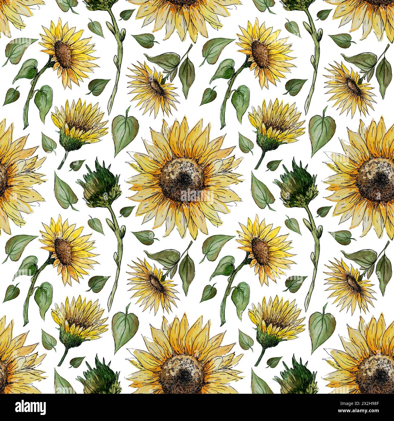 Hand drawn watercolor seamless pattern with sunflower flowers on a ...