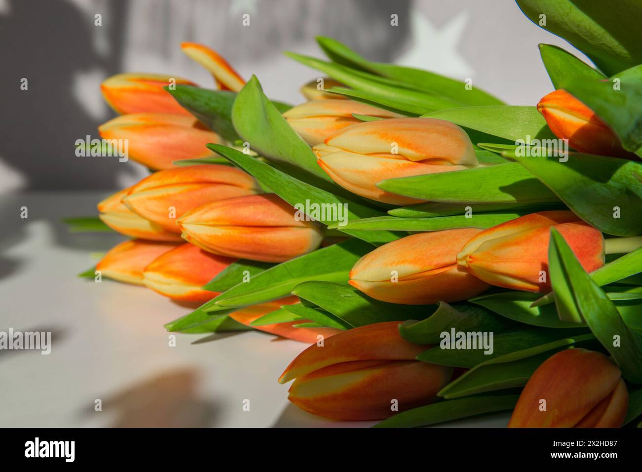 Bouquet of red tulips with dark background. Mother's Day, Easter, Valentine's Day. Spring flowers. Copy space. Top view Stock Photo
