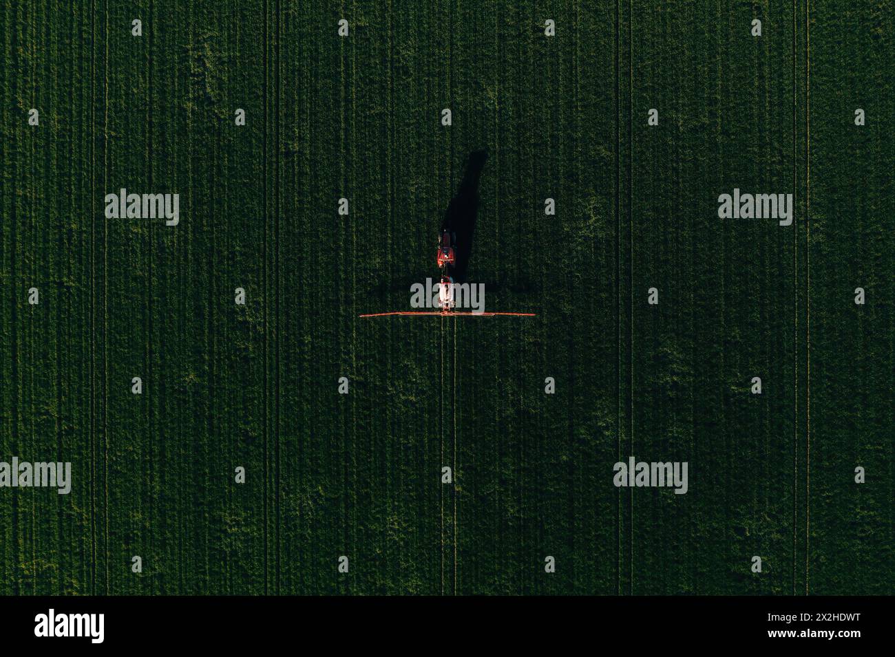 Agricultural tractor with crop sprayer applying fungicide treatment on wheat crops in spring, aerial view from drone pov, top down Stock Photo