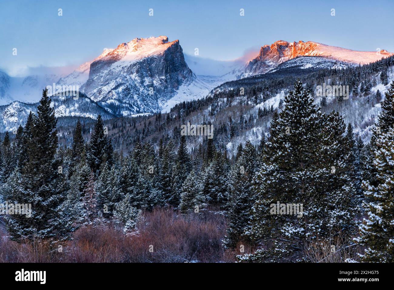 The first golden light of day hit Hallett Peak and Flattop Mountain with fresh snow on the trees, seen from the Storm Pass trailhead, Rocky Mountain N Stock Photo