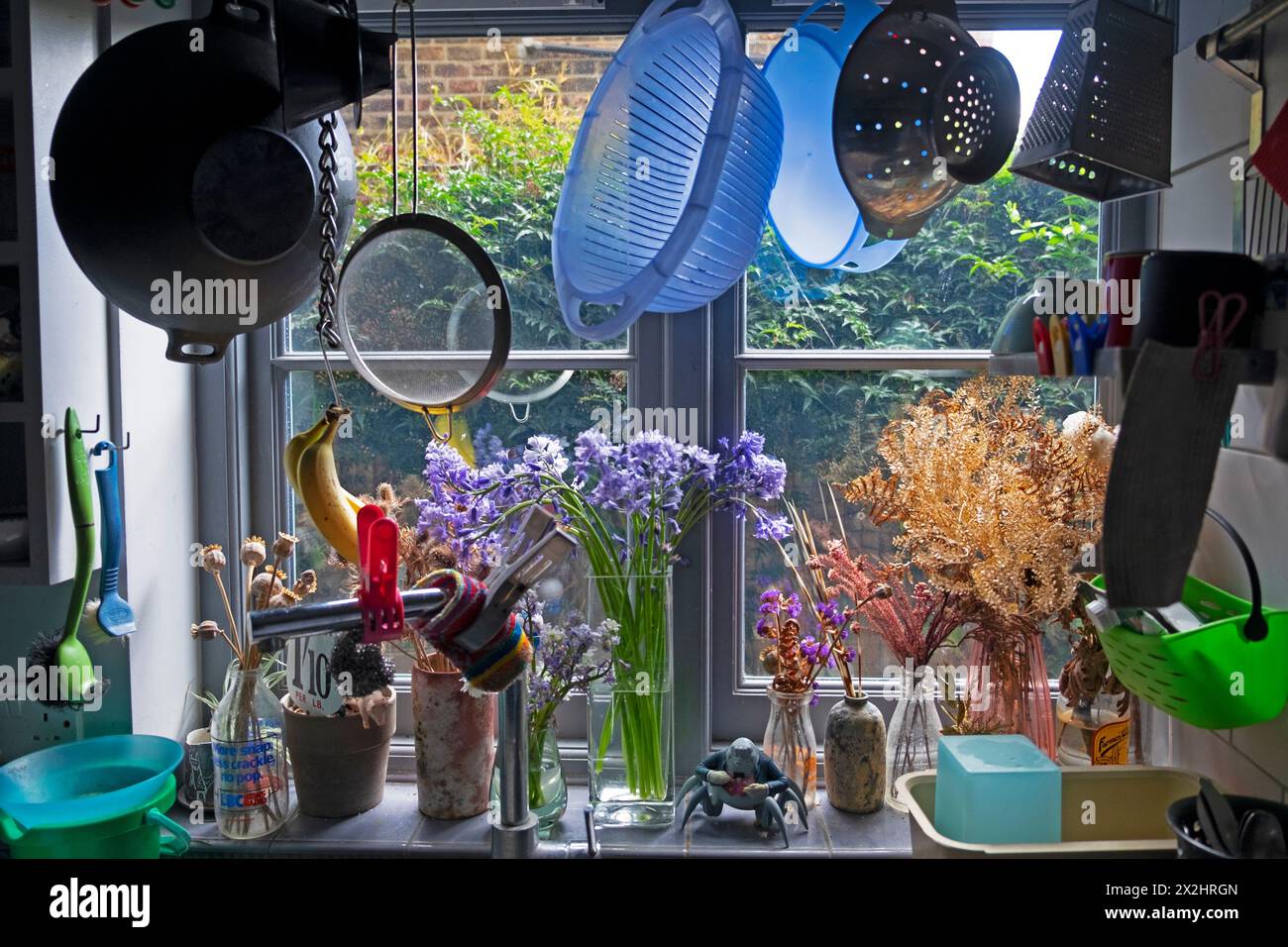 Kitchen utensils colander hanging above sink by window plants bluebells in vases inside home interior terraced house in London England UK KATHY DEWITT Stock Photo