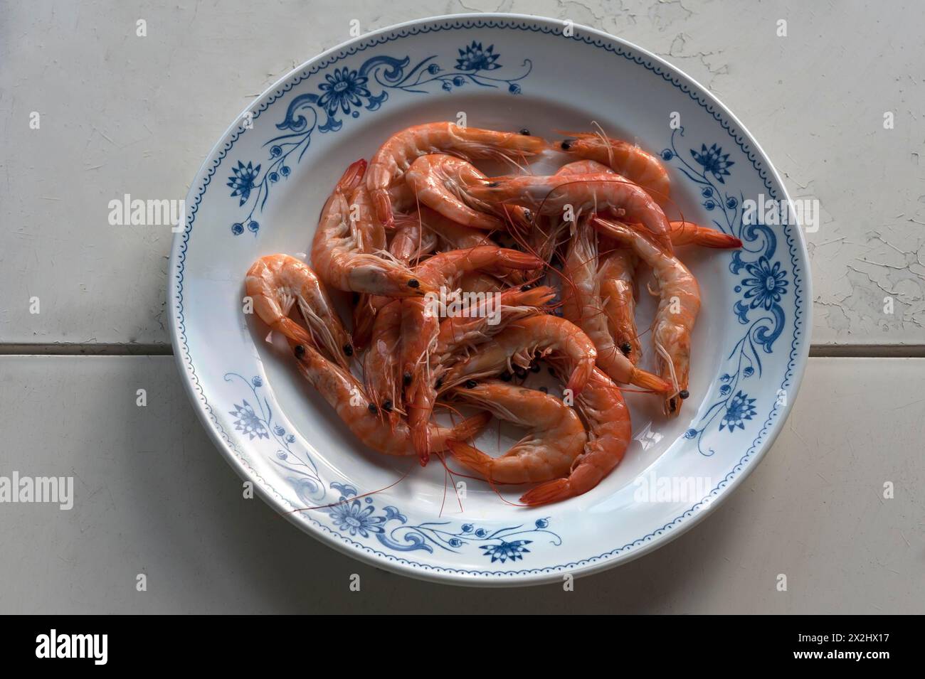 Cooked prawns on a plate, Atlantic coast, France Stock Photo