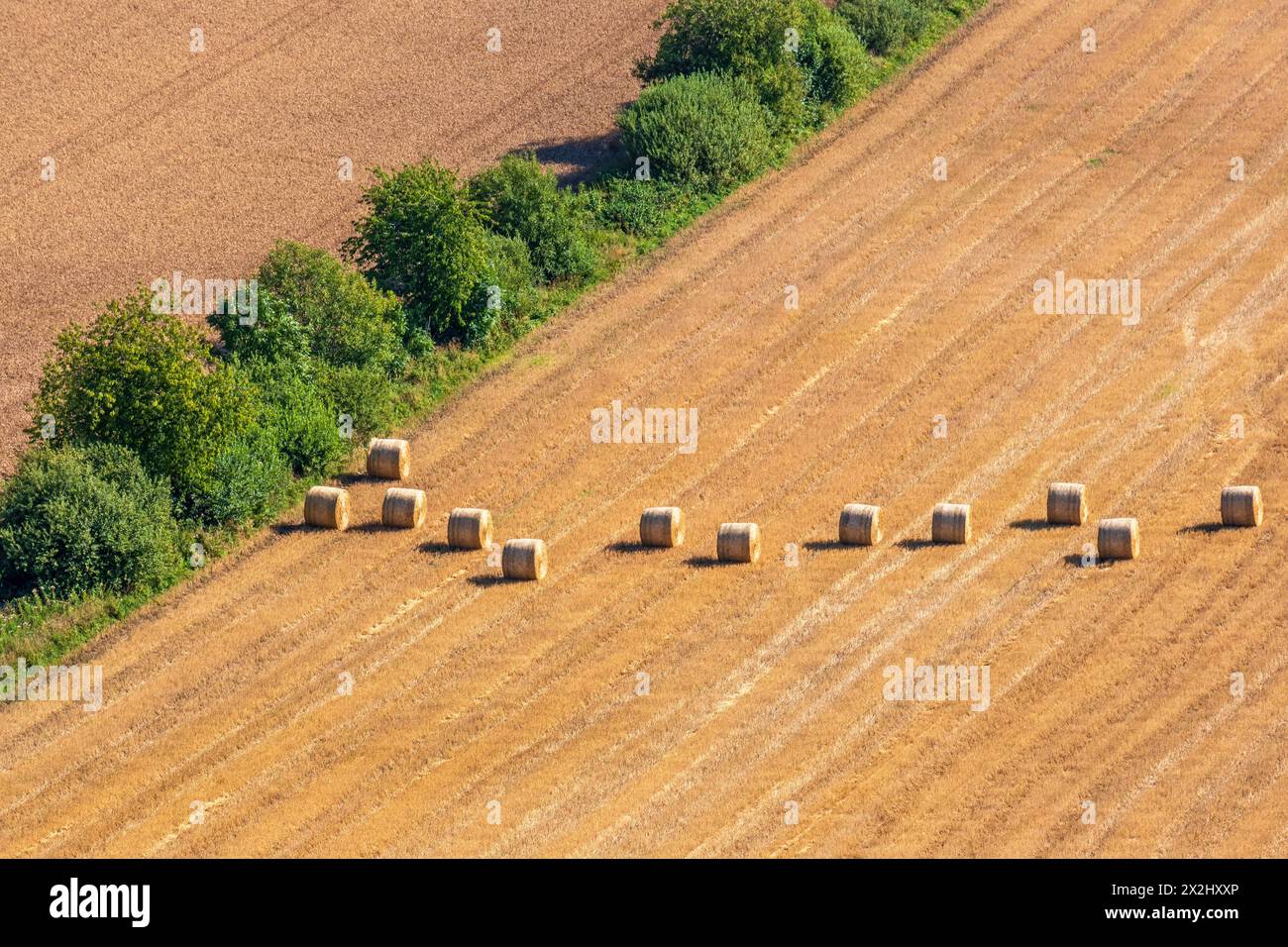 Aerial view at some straw bales on a stubble field after harvest Stock ...