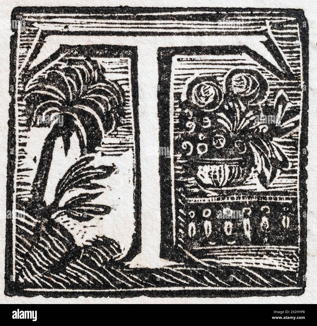 Initial or an initial T, decorative initial letter, woodcut, Mark Catesby, Natural History of Carolina, Florida and the Bahama Islands, 1754 Stock Photo