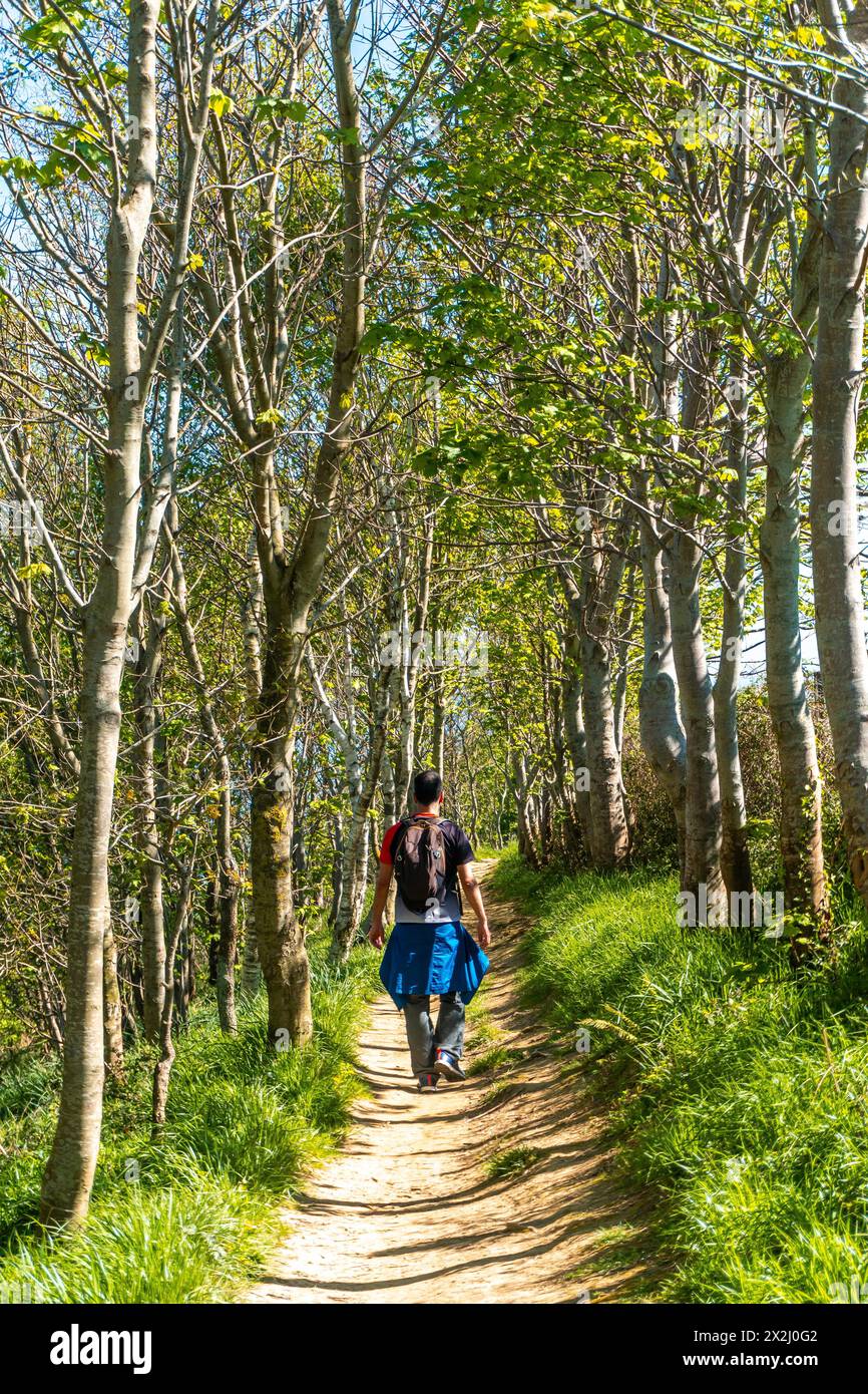A man walking through a forest near the Zumaia flysch, Gipuzkoa. Basque Country Stock Photo