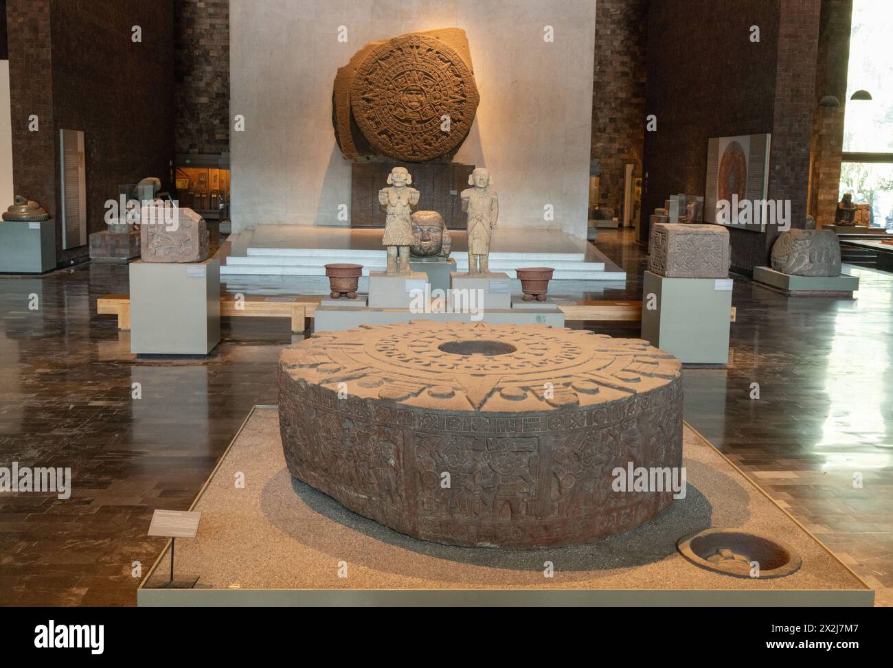 Exhibits in the National Museum of Anthropology, Mexico - interior view including the Aztec Stone of the Sun mounted on the wall; Mexico City, Mexico Stock Photo